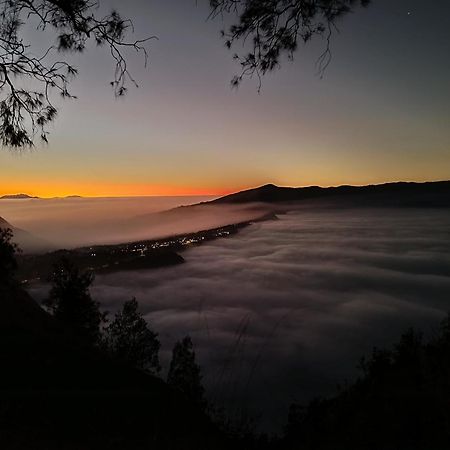 Uciek Tengger Bromo Ngadisari ภายนอก รูปภาพ